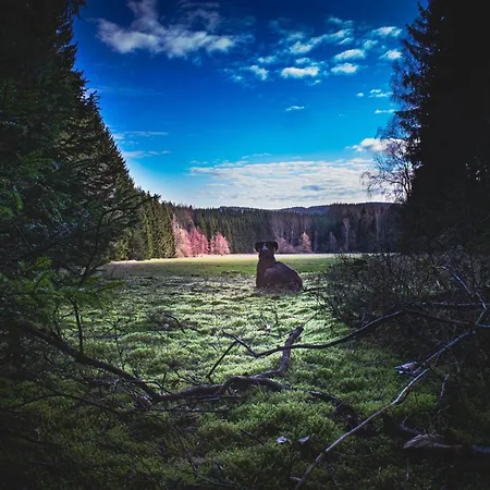 Apartment An Der Zwäns