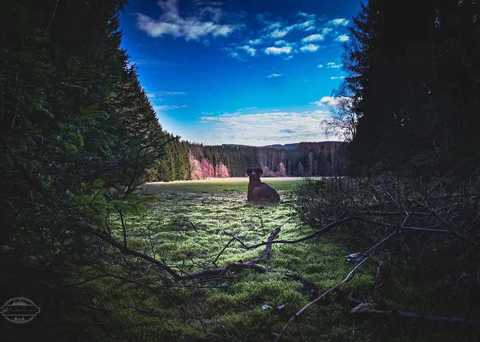 شقة An Der Zwaens